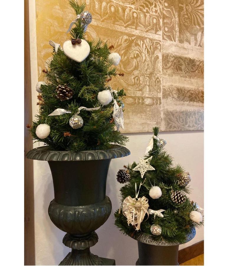 Albergo Garni Cavento Pinzolo Εξωτερικό φωτογραφία